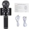WS-858 Wireless Karaoke Microphone with Speaker