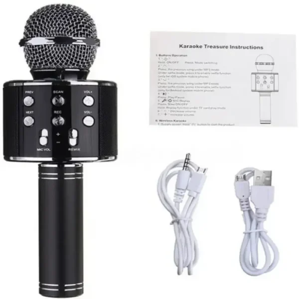 WS-858 Wireless Karaoke Microphone with Speaker