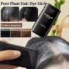 Instant Black Hair Color Stick