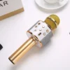 WS-858 Wireless Karaoke Microphone with Speaker