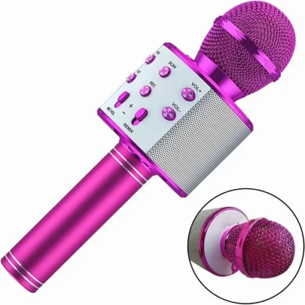 WS-858 Wireless Karaoke Microphone with Speaker