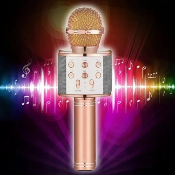 WS-858 Wireless Karaoke Microphone with Speaker