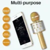 WS-858 Wireless Karaoke Microphone with Speaker