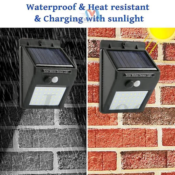 Anugrah Motion Sensor 20 LED Solar Light (Pack of 2)